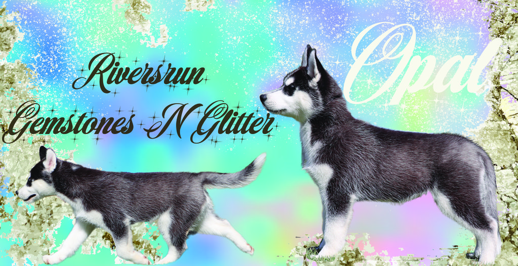 Photo of Riversrun Gemstones N Glitter