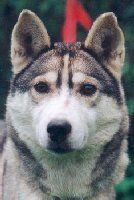 Photo of Lokiboden’s Mary