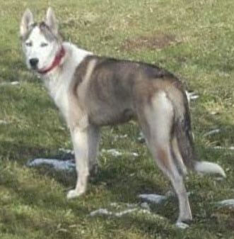 Photo of Destiny of Life Luna