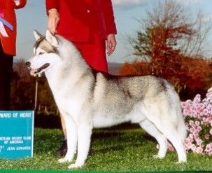 Photo of Cedarstone Seadream Navygator