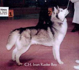 Photo of Iwan Kasbo Boy