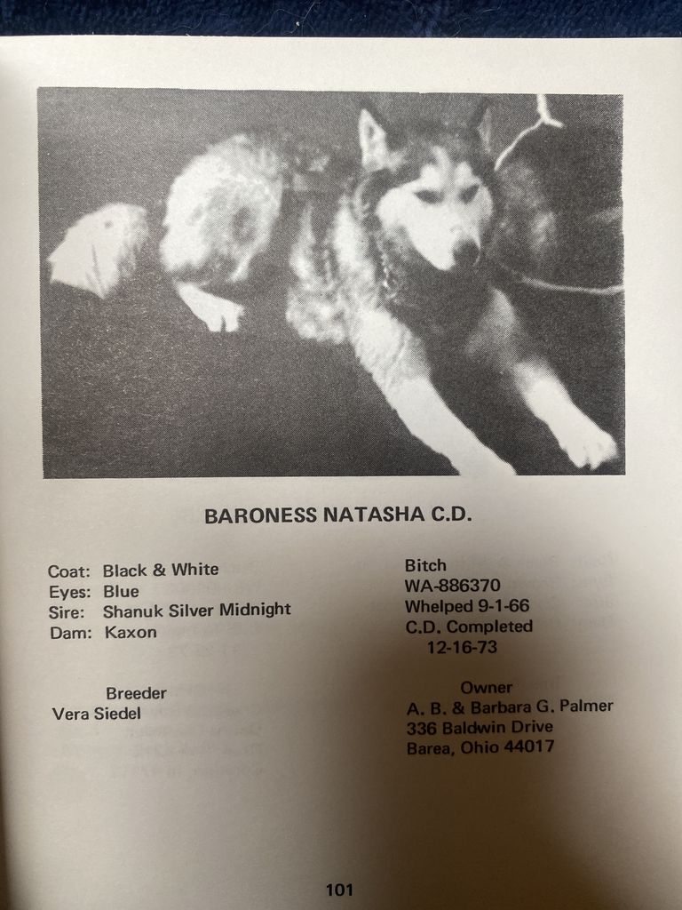Photo of Baroness Natasha