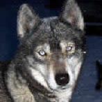 Photo of Storm Mountain’s Angel