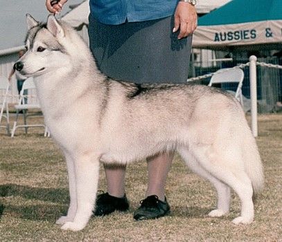 Photo of Echo Call’s Saltwater Taffy