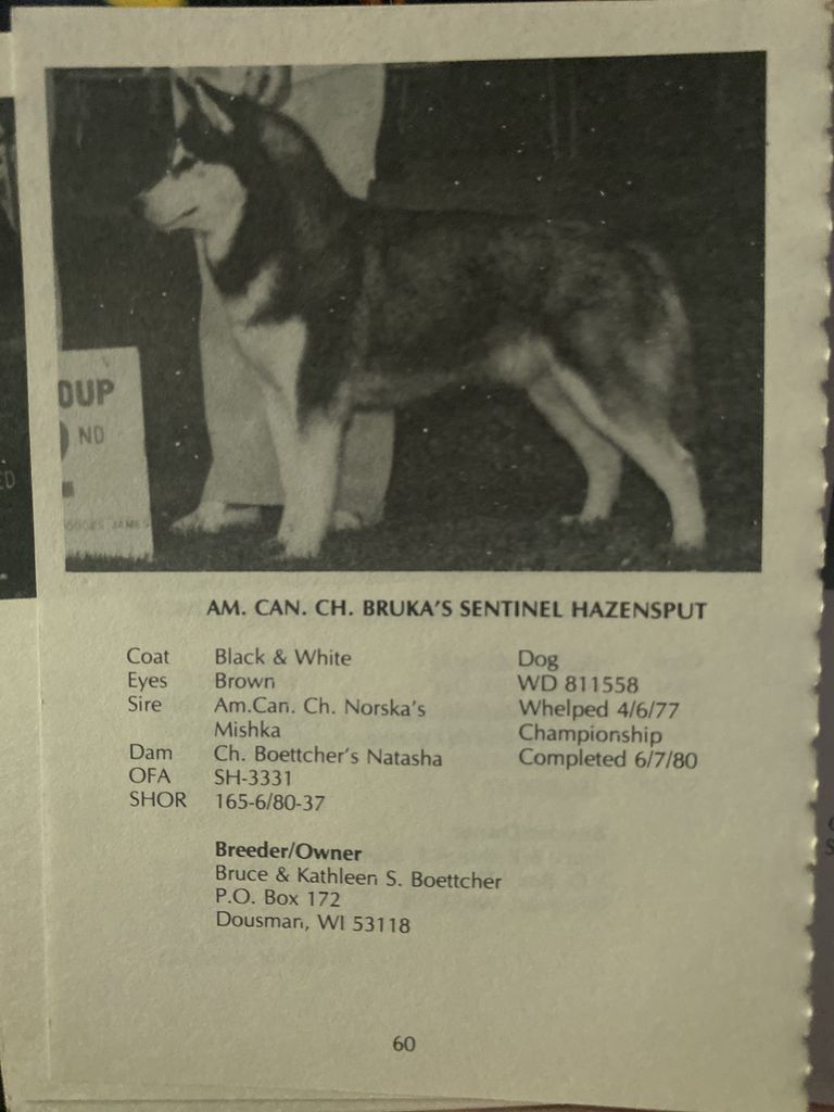Photo of Bruka’s Sentinel Haznosput