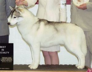Photo of Jo-Kar’s Son Of Sam