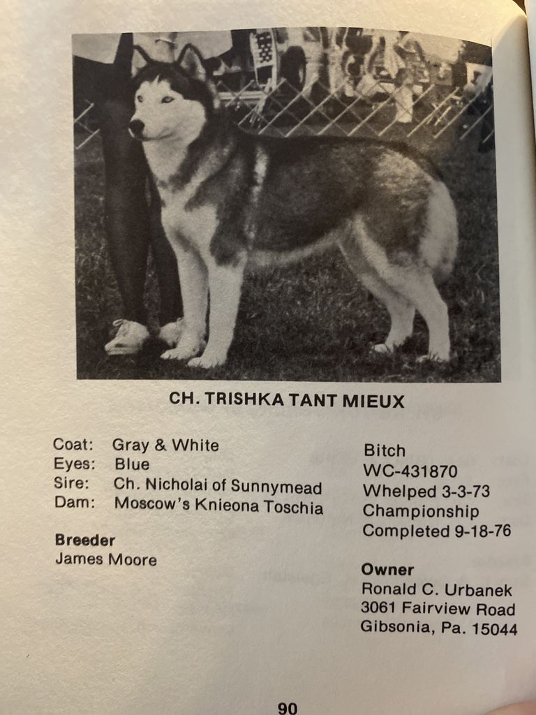 Photo of Trishka Tant Mieux