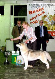 Photo of Atlanterra Anubis