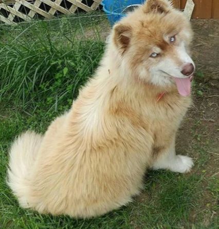 Photo of Sway The Kutupa Malkia