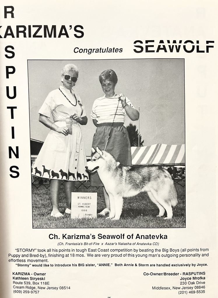 Photo of Karizma’s Seawolf of Anatevka