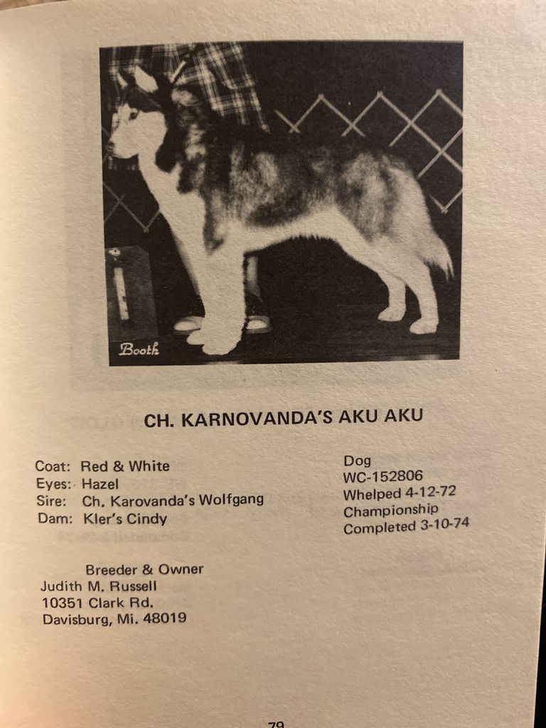 Photo of Karnovanda’s Aku Aku