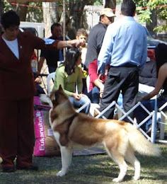 Photo of Ainao de Cuna de Lobos