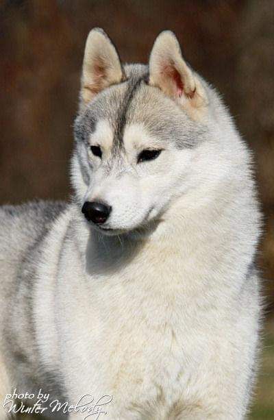 Photo of Kristari's Powerball