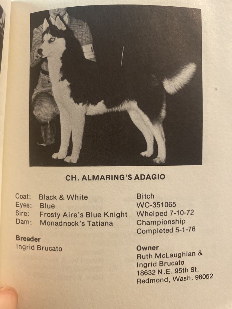 Photo of Almaring’s Adagio