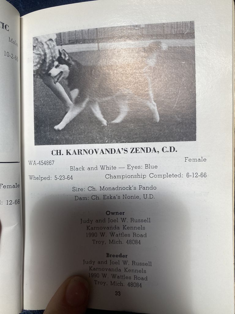 Photo of Karnovanda’s Zenda