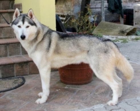 Photo of Marlytuk’s Kaliya Destry