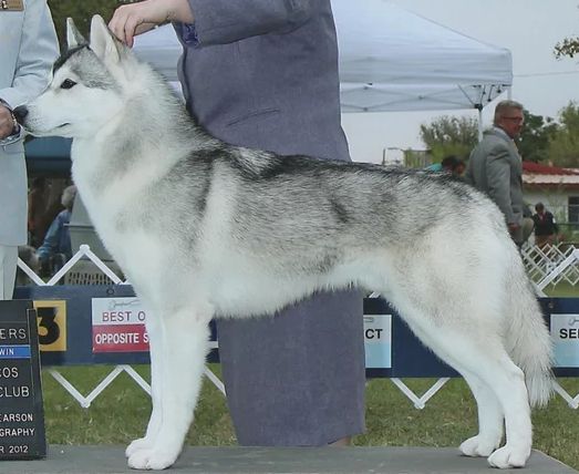 Photo of Kayenta’s Absolute Xero