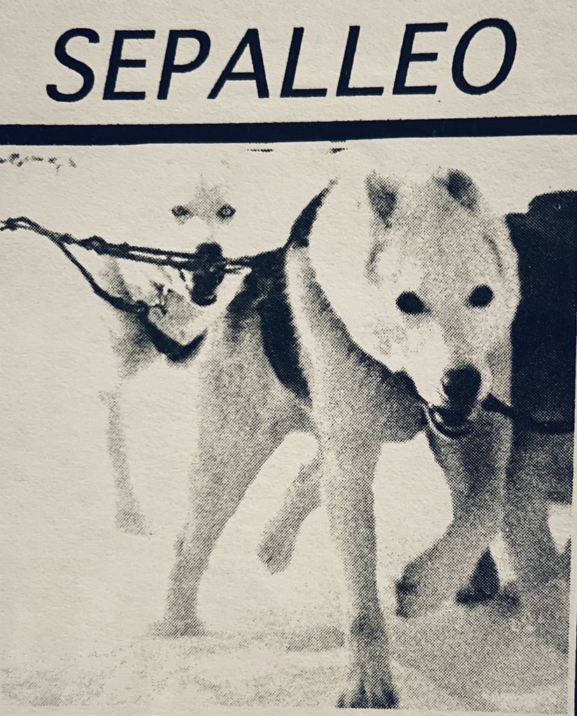 Photo of Sepalleo
