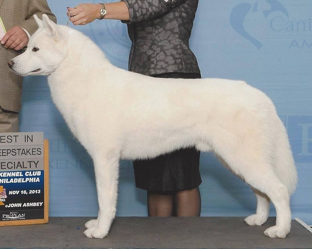 Photo of Barynuk’s Hawt Ice