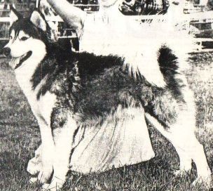 Photo of Tuk Of Natomah