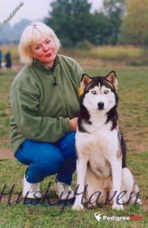 Photo of Z-Wounded Knee Z Lodice