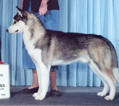 Photo of Keekawa’s Jake