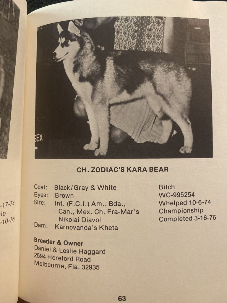 Photo of Zodiac's Kara Bear