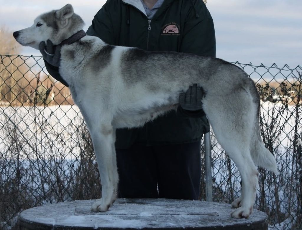 Photo of Snowrnr’s Betty Lou Aru