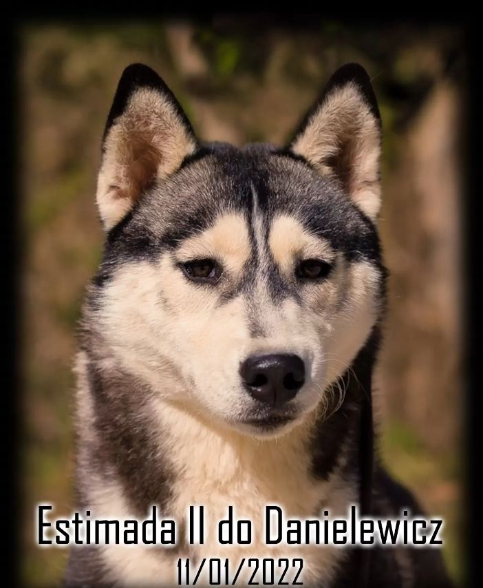 Photo of Estimada II do Danielewicz