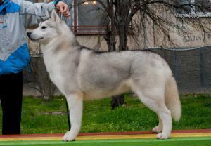Photo of Khalimba de Luna of Wolf Point