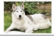 Photo of Mikalya’s Natalie
