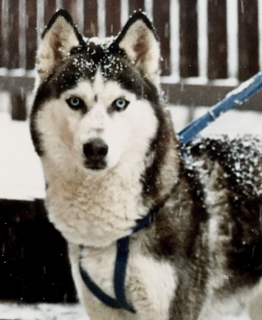 Photo of Talocon’s Polar Star