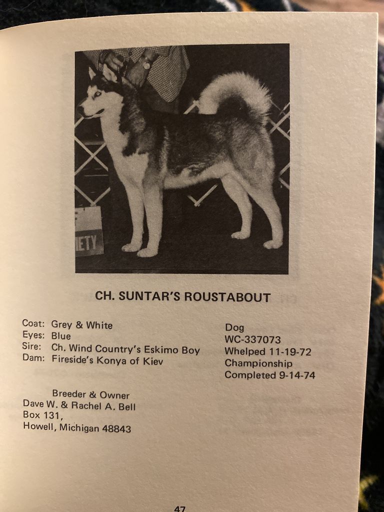Photo of Suntar’s Roustabout
