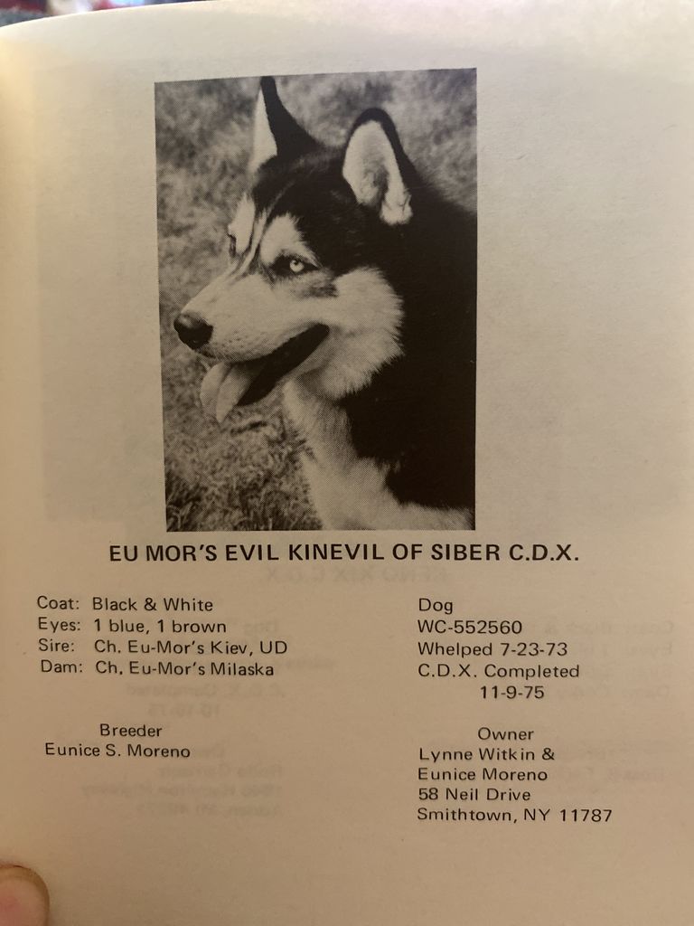 Photo of Eu Mor’s Evil Kinevil Of Siber