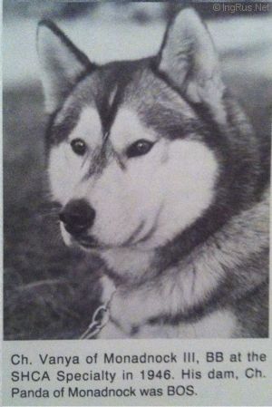 Photo of Vanya Of Monadnock III