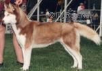 Photo of Trillium’s Aspen Sunset of Aslan