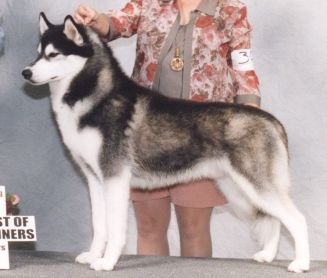 Photo of Bain’s Northern Formal Attire