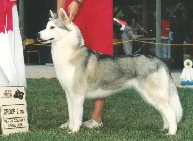 Photo of Bain's Northern Joint Venture