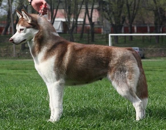 Photo of Zhasmin