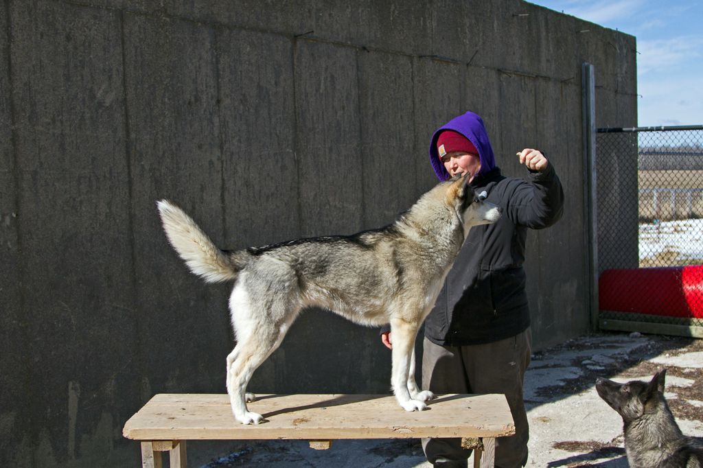 Photo of Northrunner Born Of Darkness