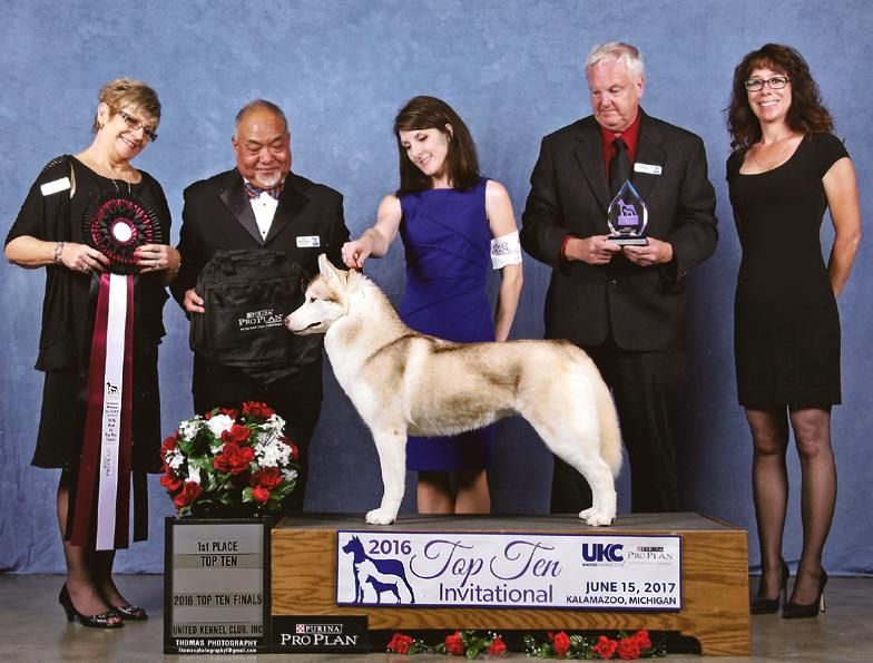 Photo of Snowborn’s Scarlet Letter