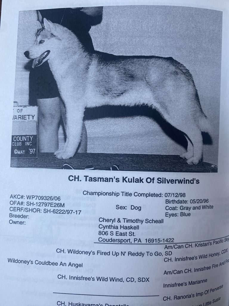 Photo of Tasman’s Kulak Of Silverwinds