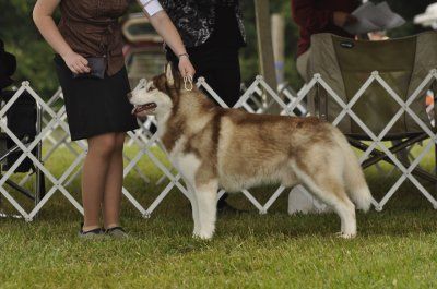 Photo of Apparitions Cynders And Ashes
