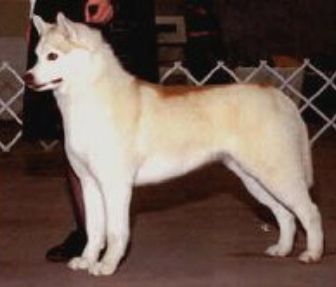 Photo of Rainbow's End Of The Midnight Sun