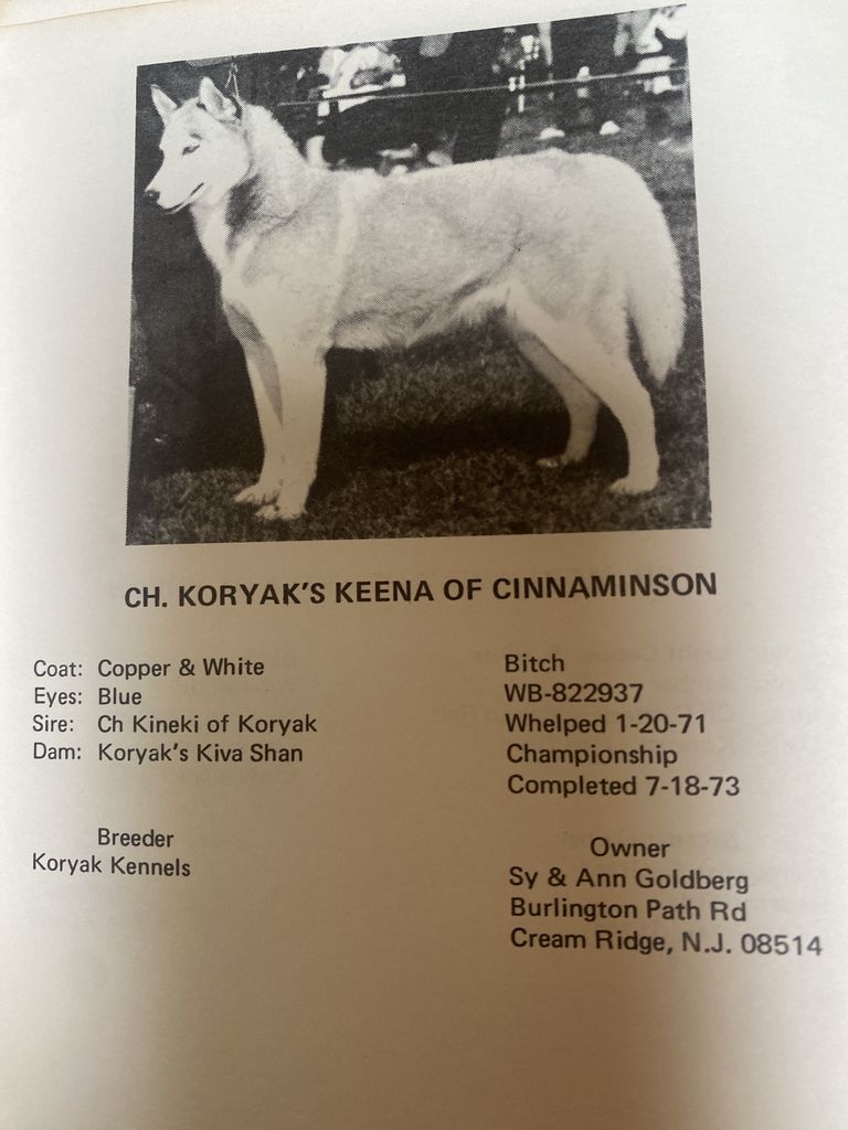 Photo of Koryak’s Keena of Cinnaminson
