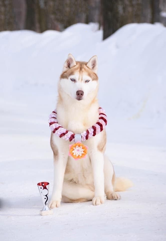 Photo of Infinity Challenge Odriana