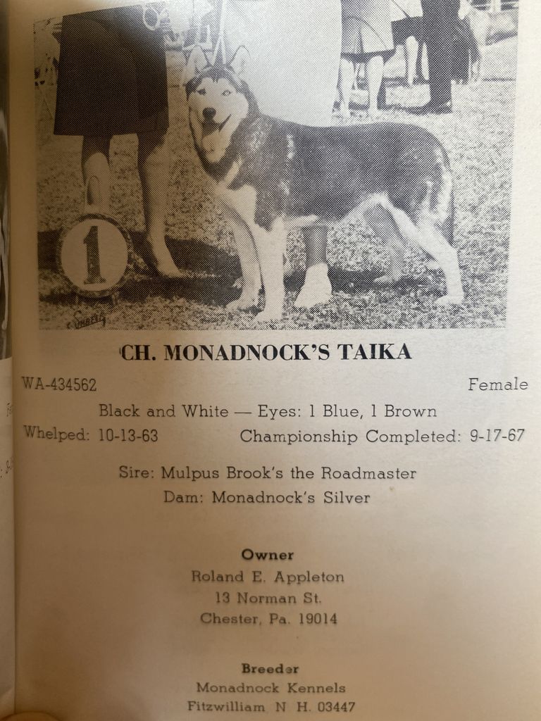 Photo of Monadnock’s Taika
