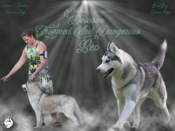 Photo of Desaran Charmed And Dangerous