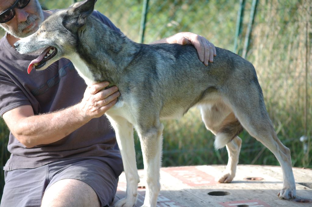 Photo of Fugitive’s Tinny