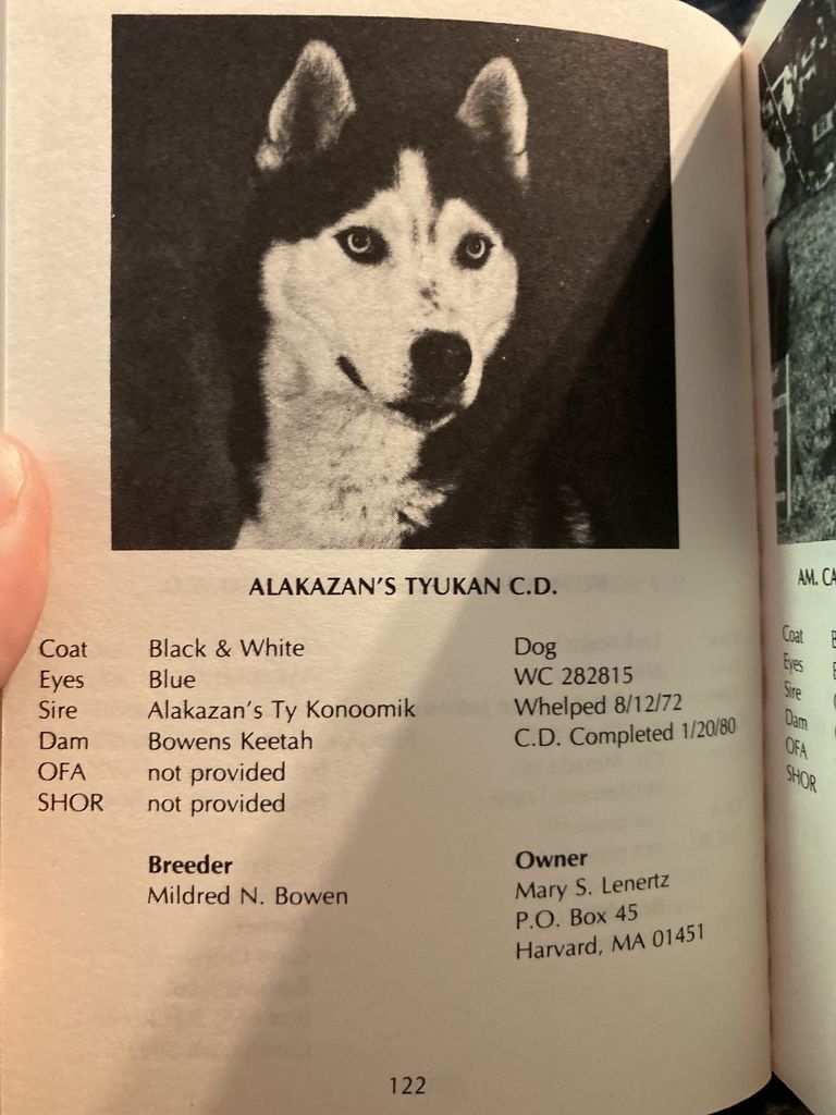Photo of Alakazan’s Tyukan